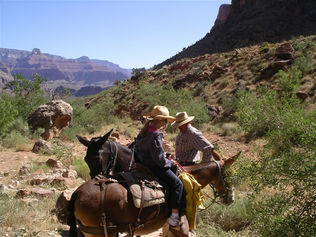 images/B- Mule Ride, riding down in to Grand Canyon (17).jpg